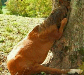Is your business Stuck!